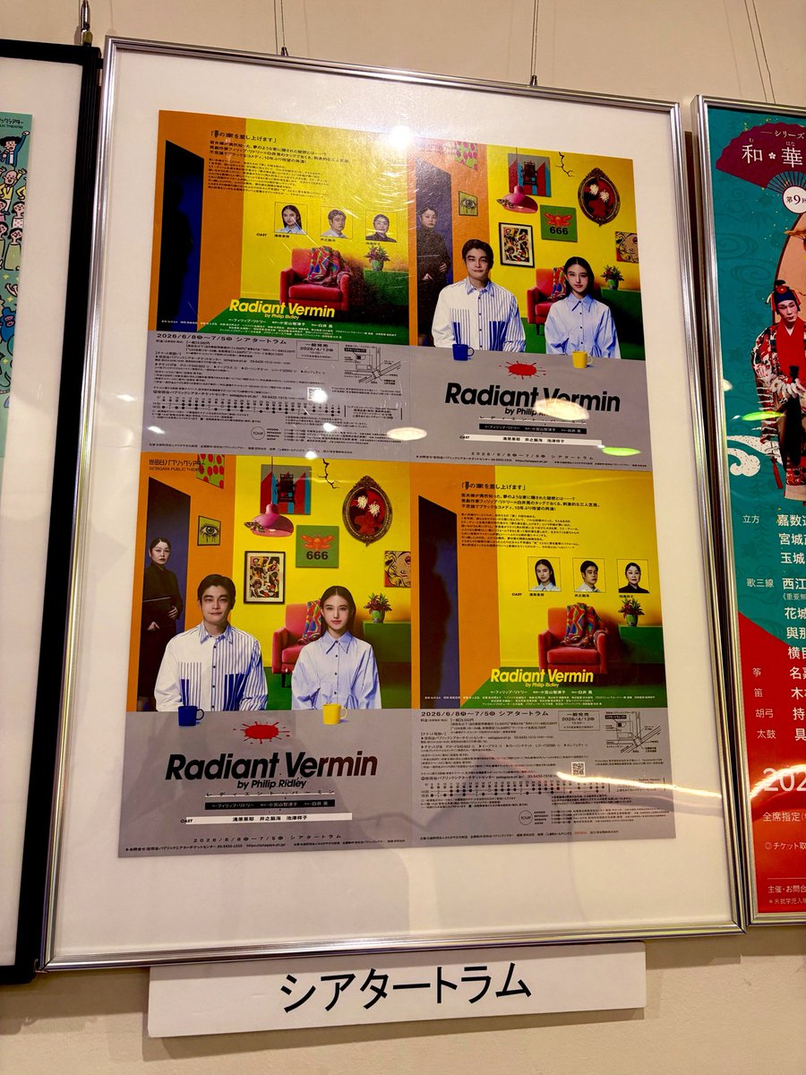 チラシ貰ってきました🙌🏻