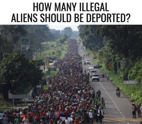 Anti Left Memes tweet media