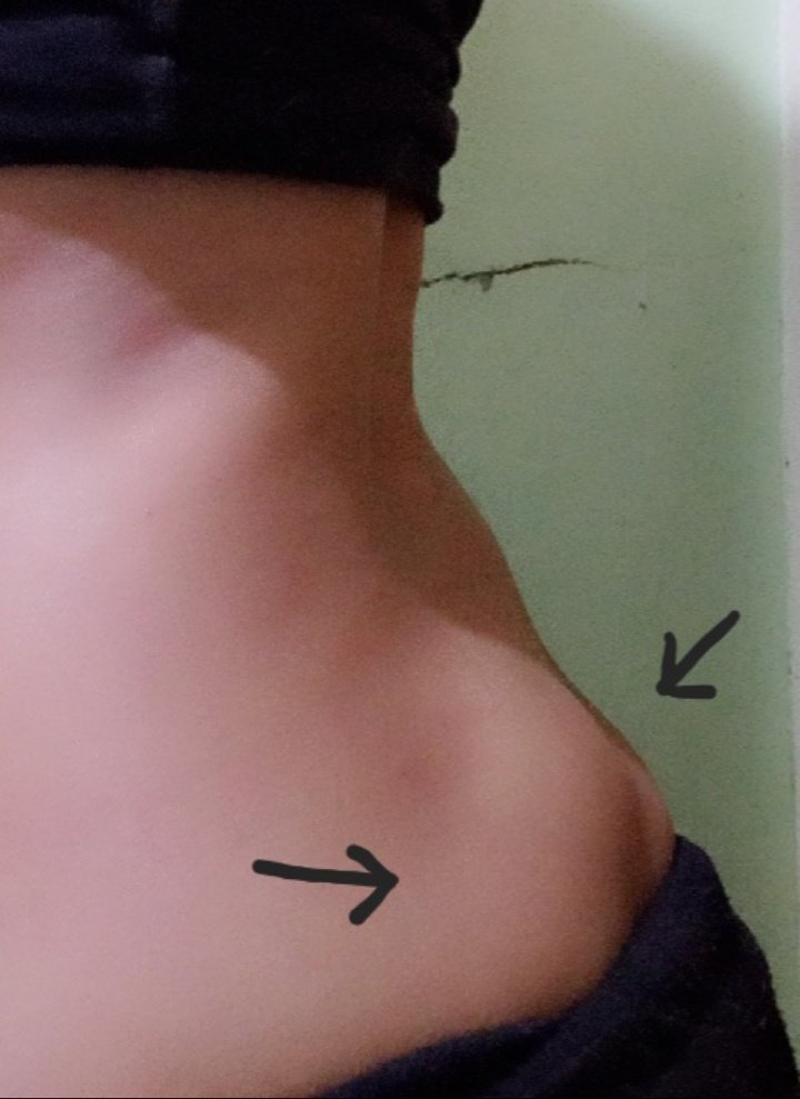 🍓🐾 𝑺𝒐𝒚 𝑷𝒍𝒖𝒎𝒊𝒕𝒂 🐾🍓 tweet media