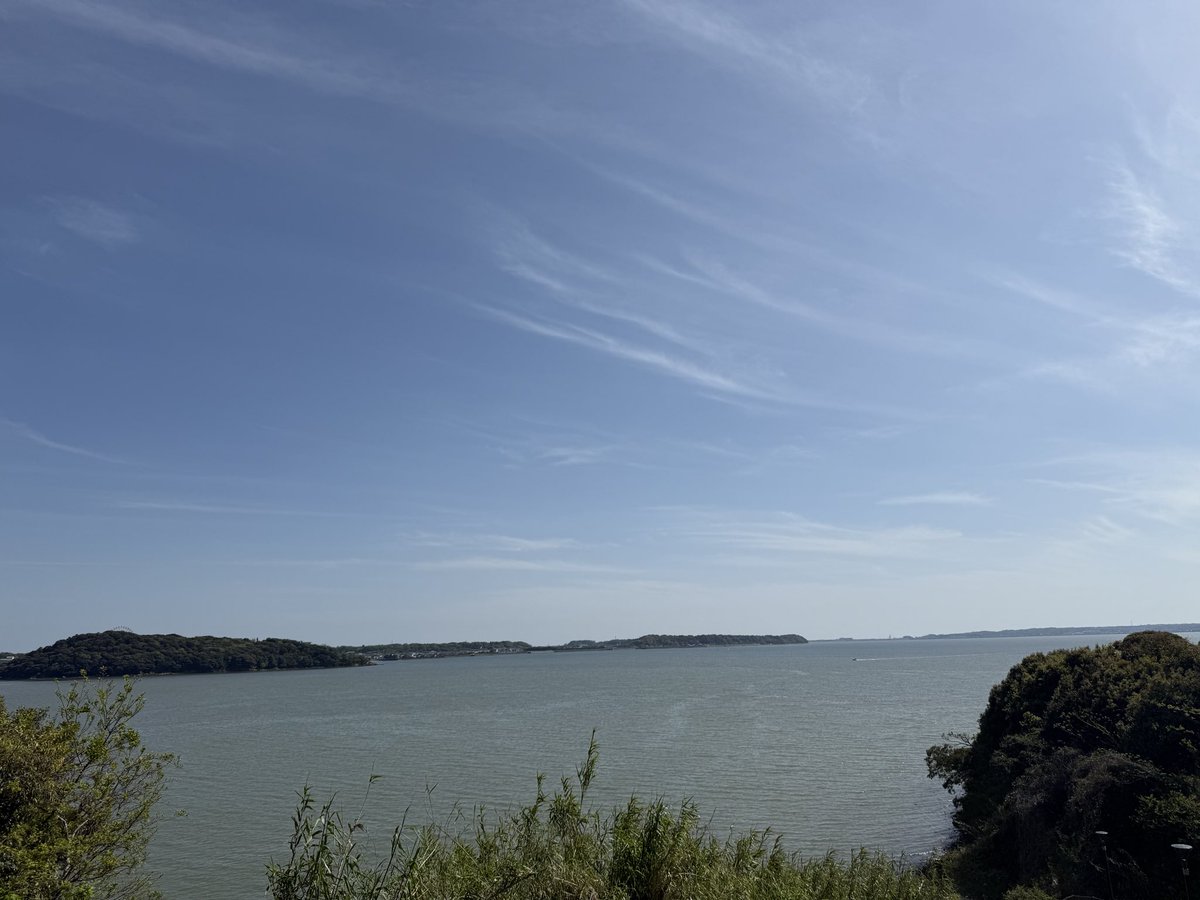 ぞーん tweet media