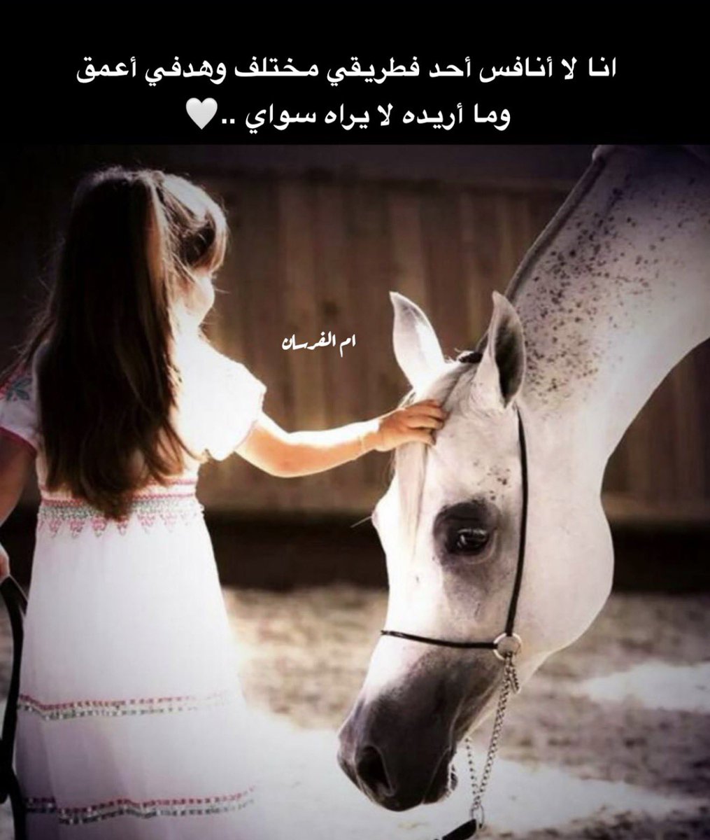 nohno2013's tweet photo. انا لا أنافس أحد، فطريقي مختلف وهدفي أعمق وما أريده لا يراه سواي ..🤍 https://t.co/xjdLr7BrKv