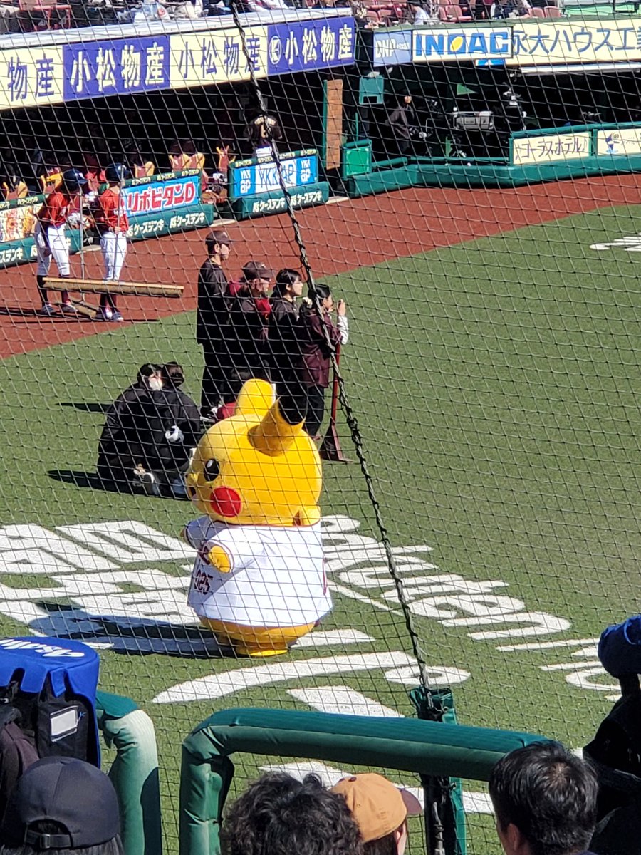 koaraisan's tweet photo. 今日はピカチュウもおる https://t.co/d0V4c6E50C
