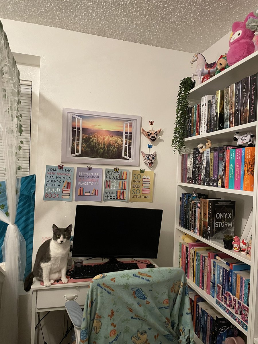 𝖿𝖾𝗋𝗇 tweet media