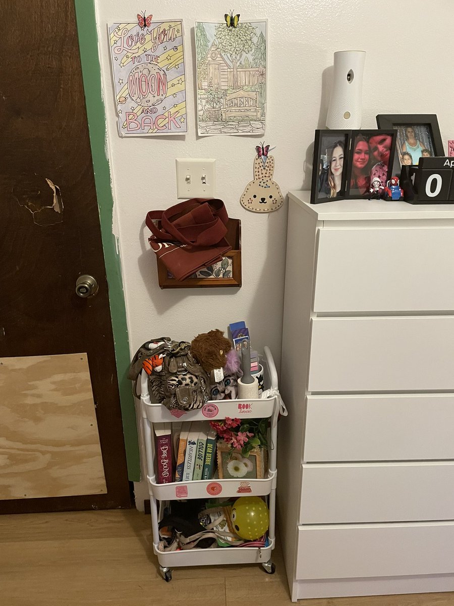 𝖿𝖾𝗋𝗇 tweet media