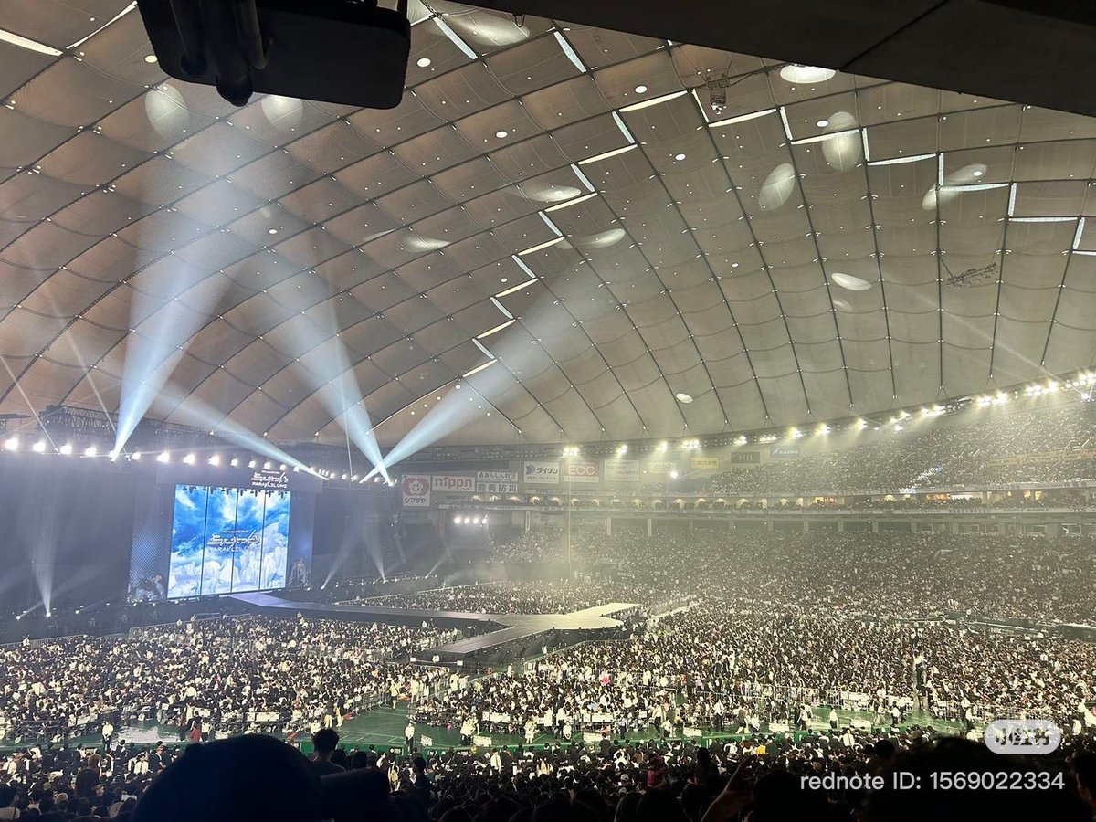 Nim_banana tweet media