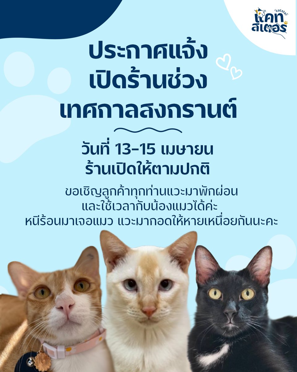 Catster & Co บ้านพักพิงแมวจร tweet media