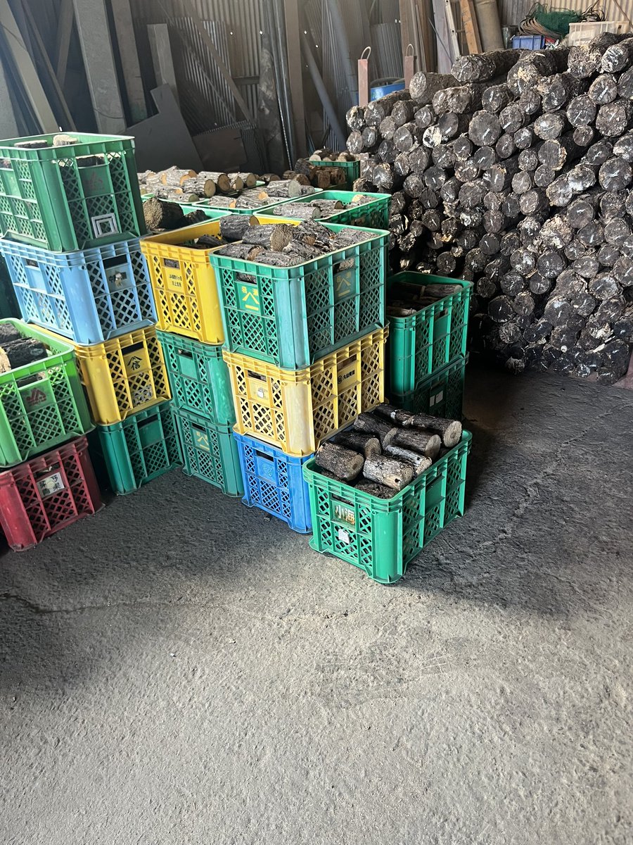 🪵産卵木🪵 木ぼくおじさんの部屋 tweet media