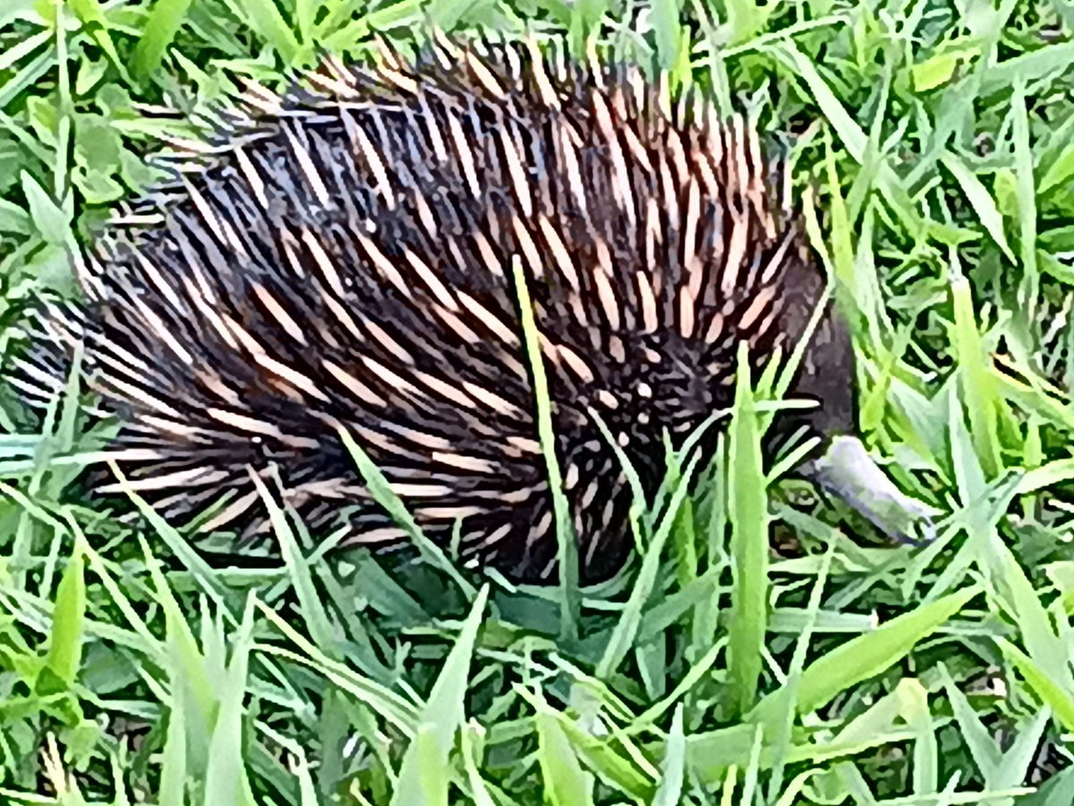 Aaronymous tweet media