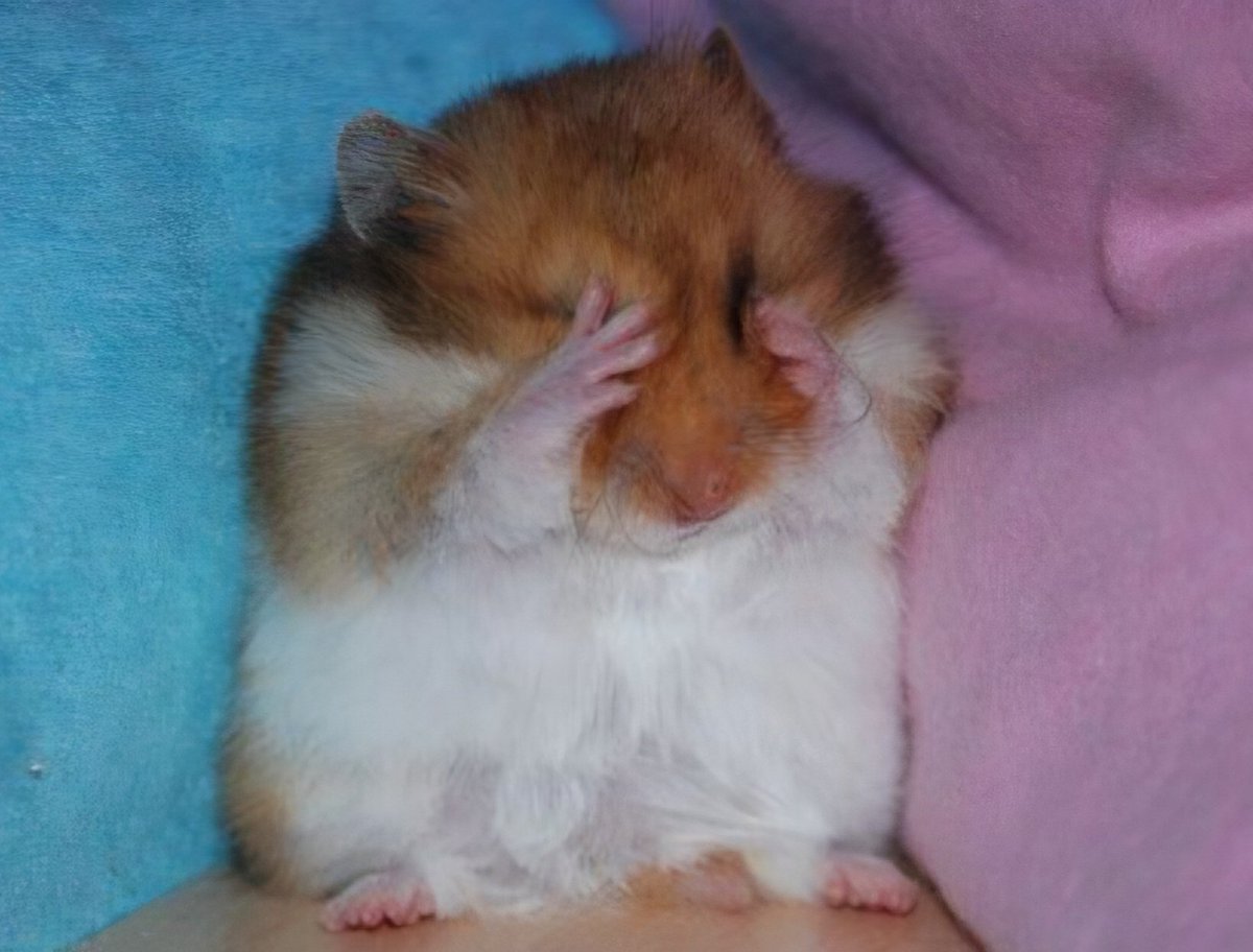 ggabulzzima's tweet photo. OH HOW FITTING... HE SERIOUSLY CANNOT BE ANY MORE HAMSTER THAN THIS OHMYGOD......... HAPPY KYUNGMIN DAY https://t.co/ezzmnUpPMW