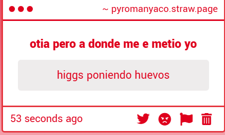 Kris 🍕🎸 tweet media