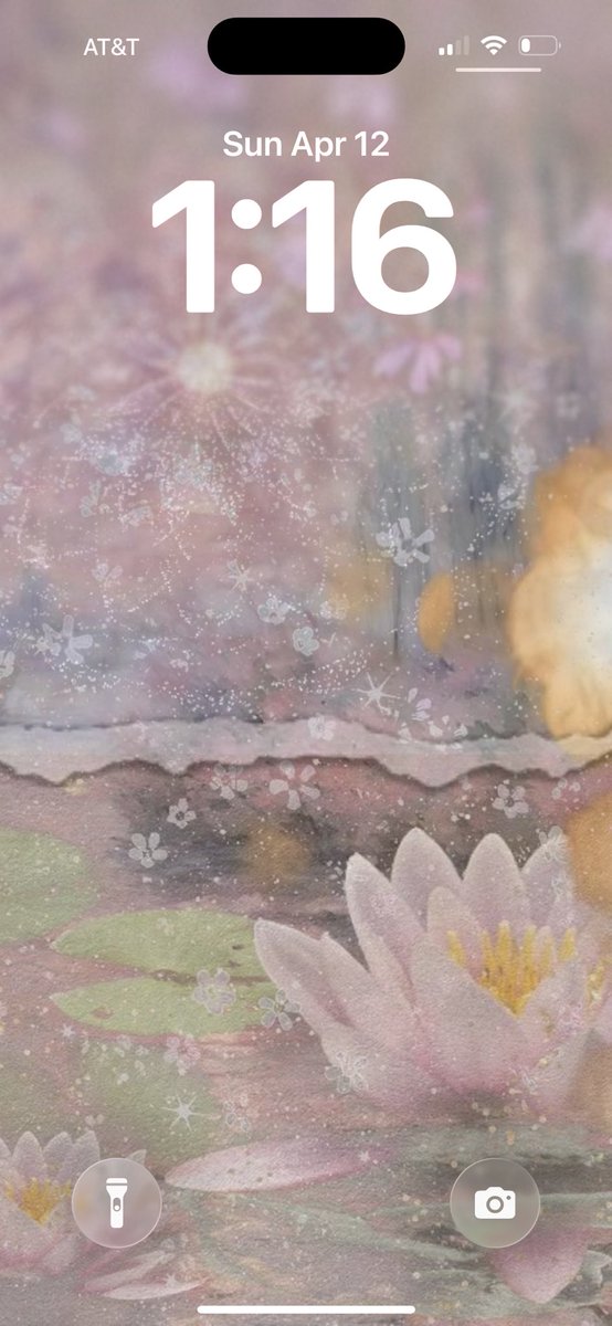 chiri ౨ৎ 🐾 tweet media