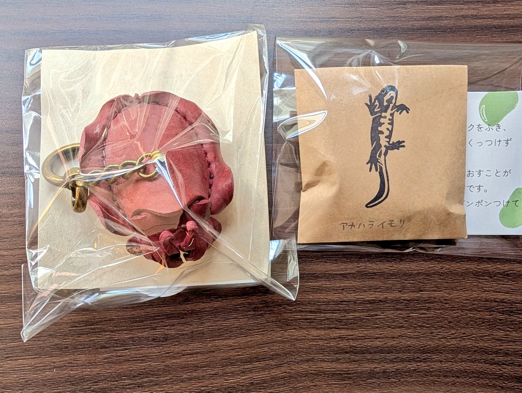 ひま🦁🦊🐾わり🦎🌻 tweet media