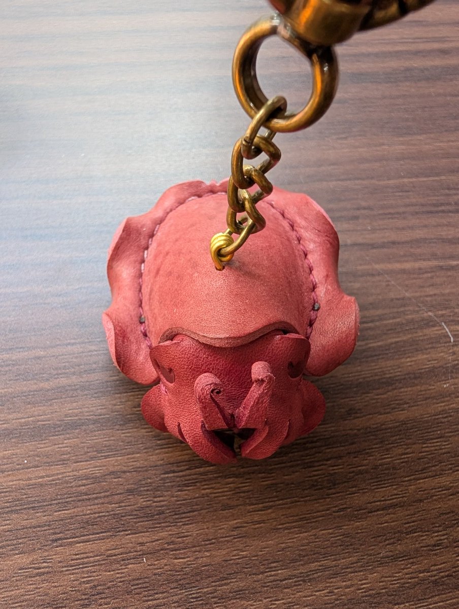 ひま🦁🦊🐾わり🦎🌻 tweet media