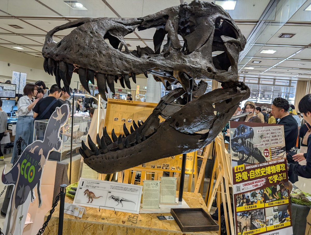 ひま🦁🦊🐾わり🦎🌻 tweet media