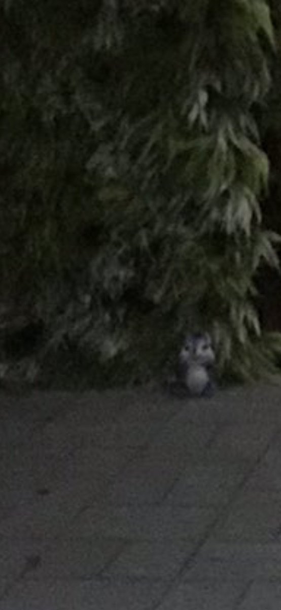 ゆみ🌛🌟 tweet media