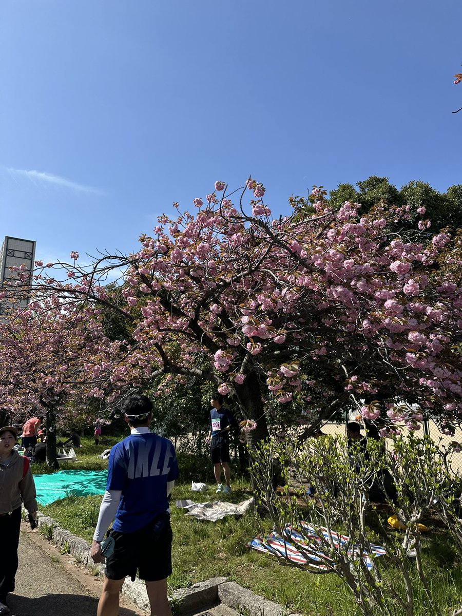 rihika2525 tweet media