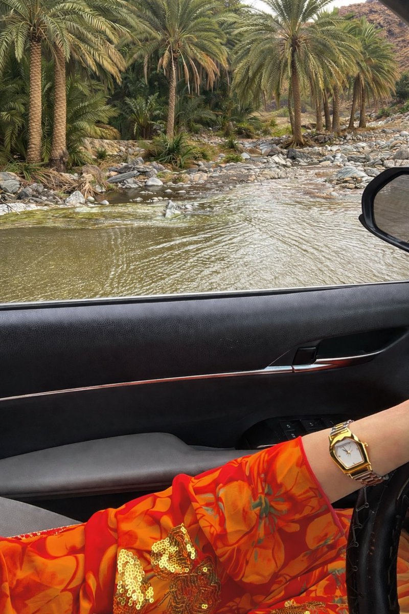 🌸 دبلوماسية 🌸 tweet media