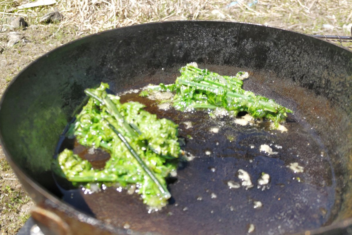 暑い！とにかく暑い！それでも気持ち良さからバべりたくなると言うもの。熊肉に鹿タン、そしてその場で食べるコゴミの天ぷらはとても美味しい♪