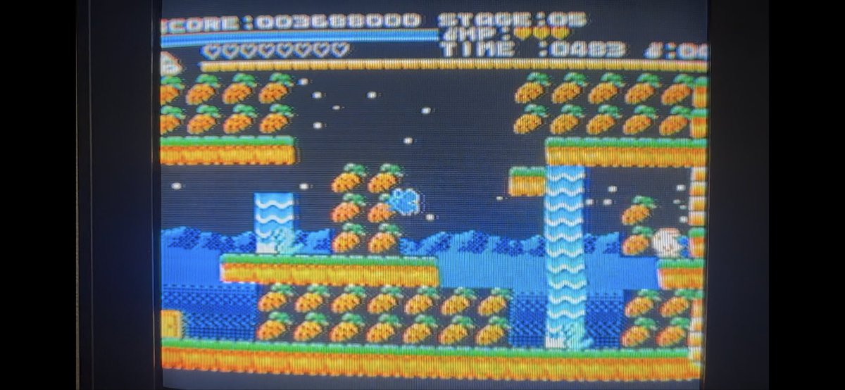 spiketosh's tweet image. 朗報：やっと購入できたMSX「Rabbit Adventure 」最高😆👍 最初操作感覚に少し難しさを感じますが、それがまた良い刺激になりサクサク人参集められた時の気持ち良さと4面事のボス戦のドキドキ感が楽しすぎます🎵 少ない容量にギュッとレトロゲームの良さが詰まった素晴らしい作品😊　#MSX @thara1129