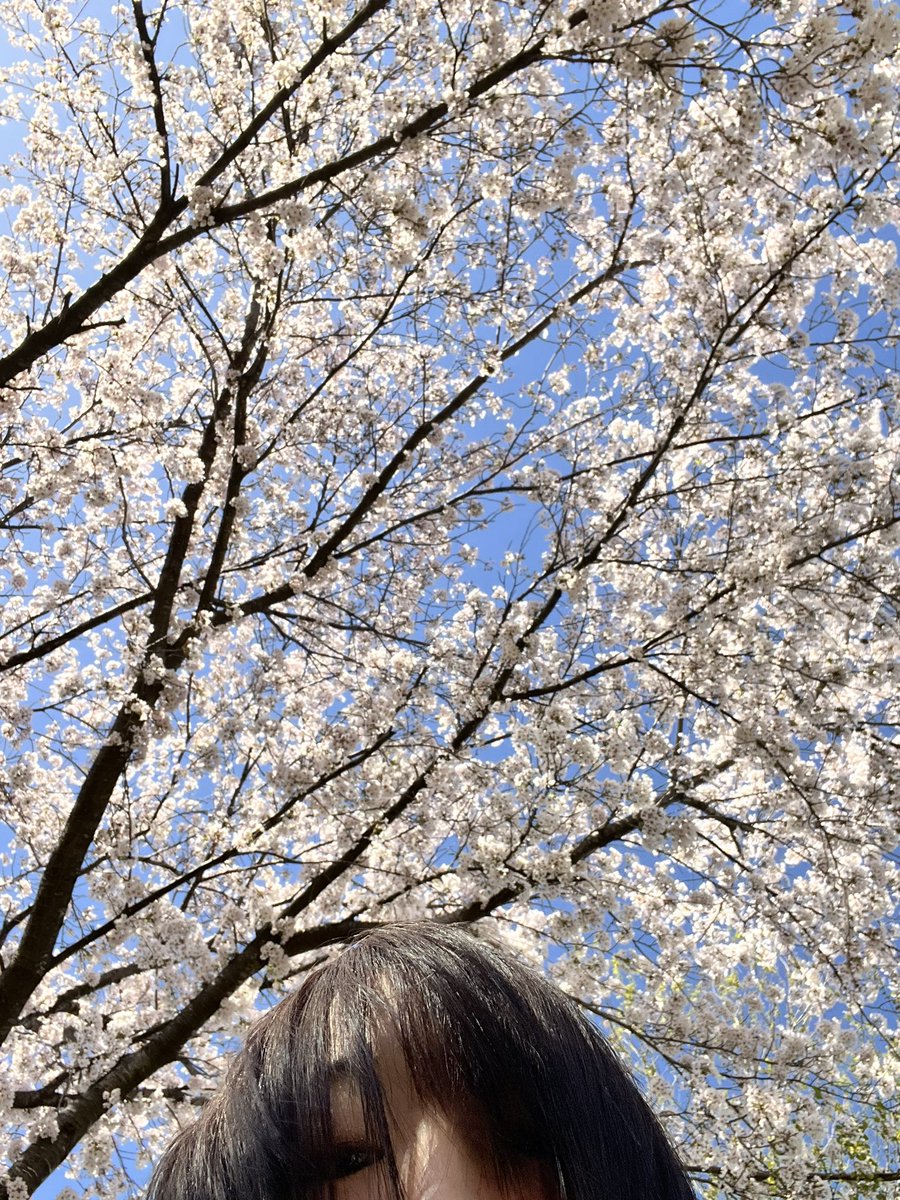 まろ🥃🐼 tweet media