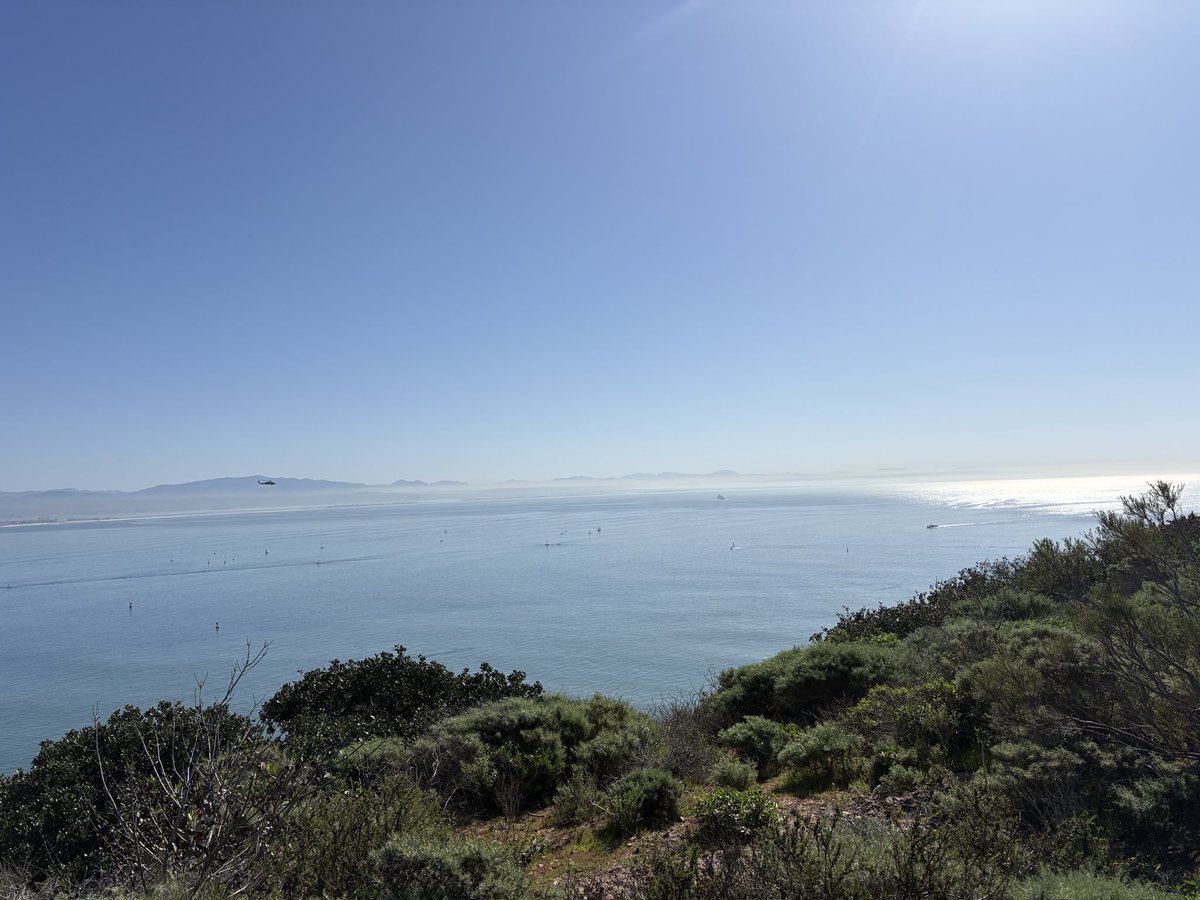 🇺🇸 wallys tweet media