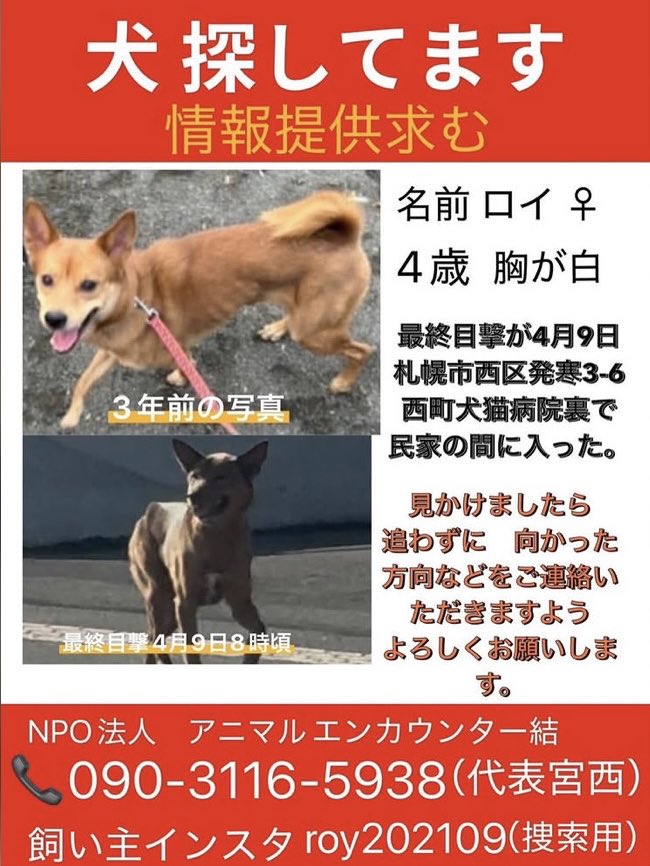 abemasaco tweet media