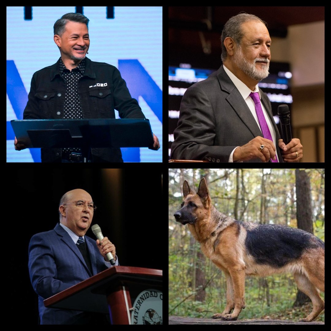 MecanograFEando tweet media