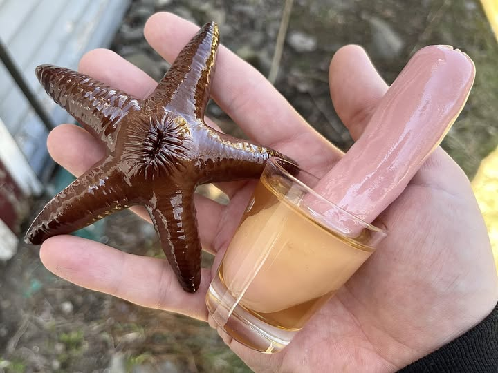 May Daze tweet media