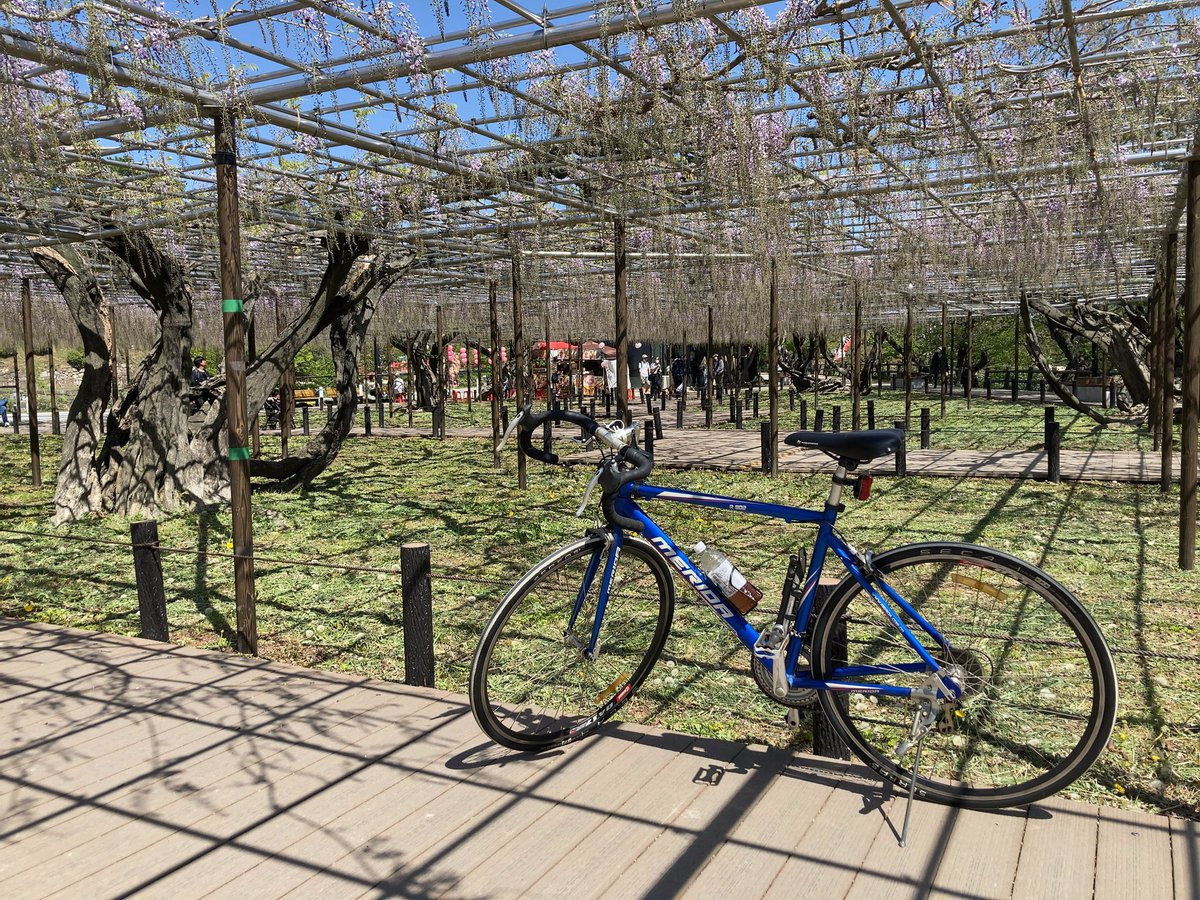 M's Junction(エムジャン) tweet media