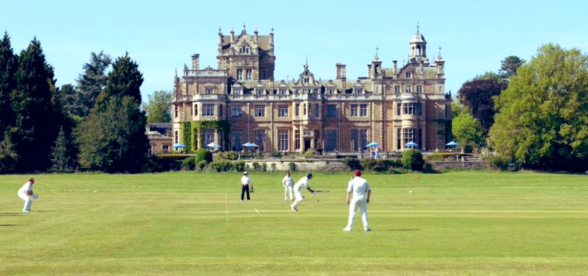 WG RumblePants tweet media