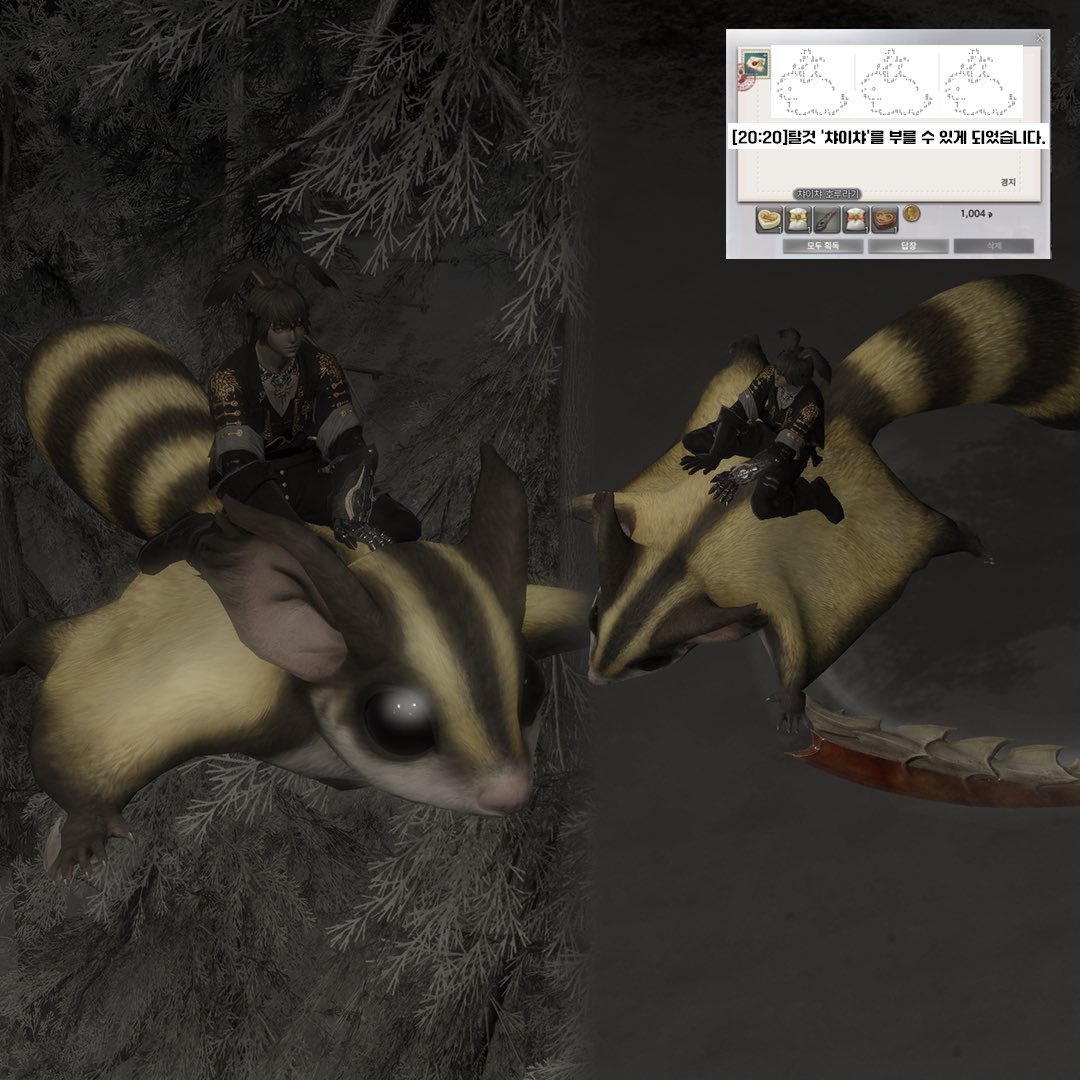 덕분에 챠이챠 오너가 됐습니다