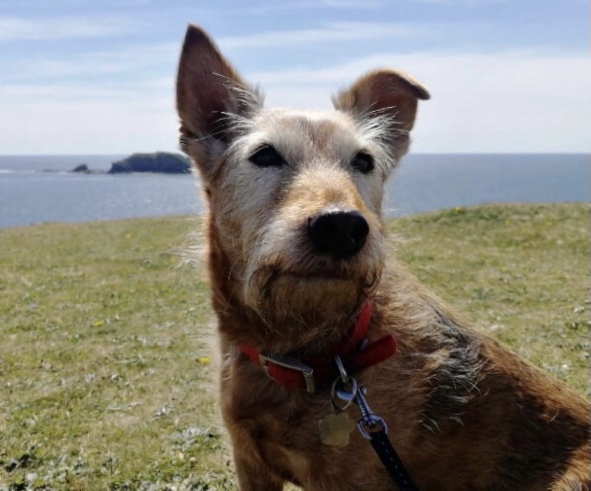 Lawrence Hourahane tweet media