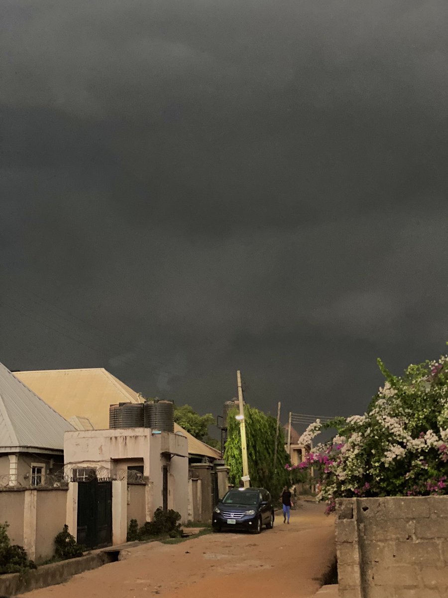 Fatima Ta Annabi tweet media