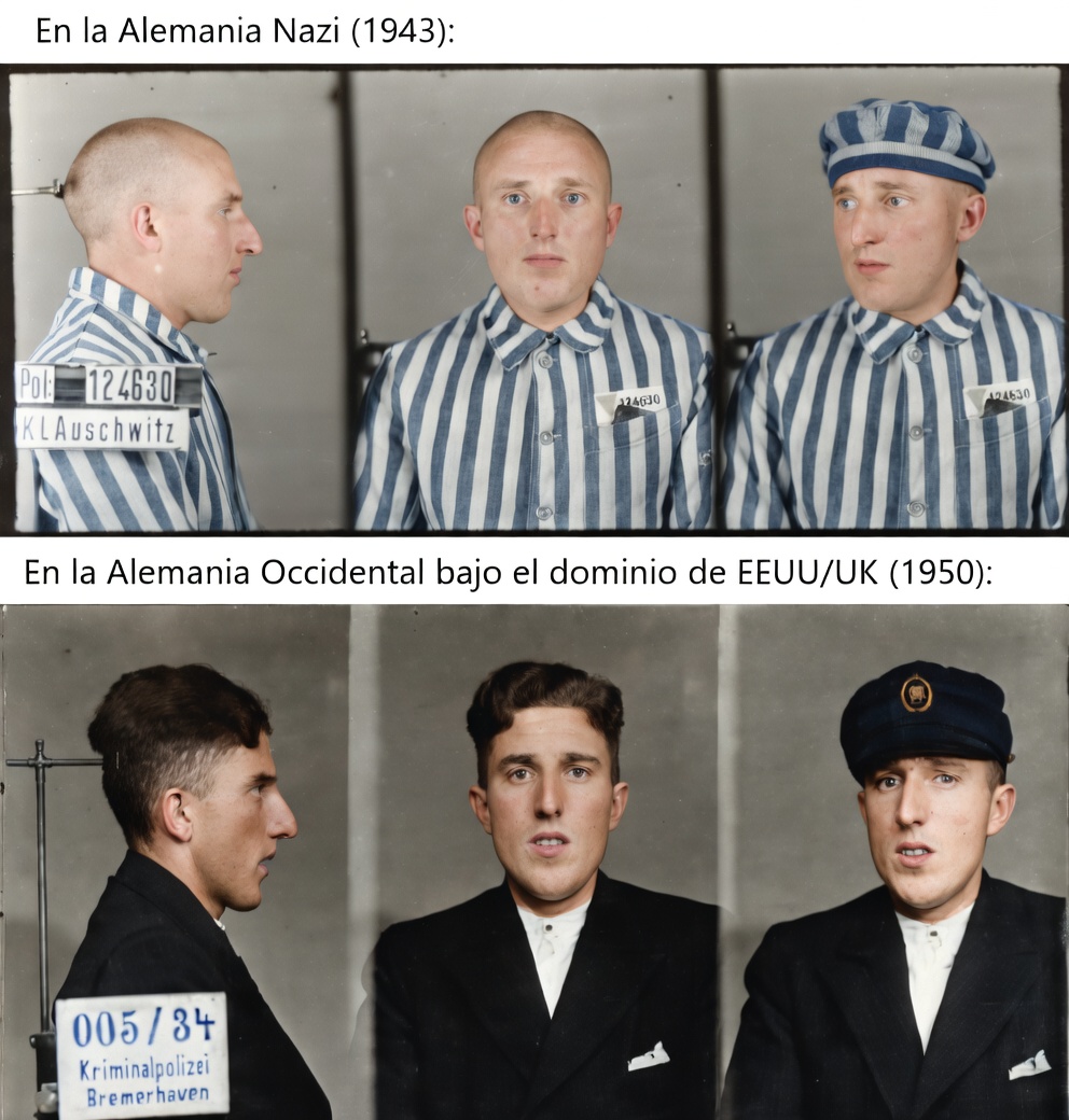 Daniel Mayakovski tweet media