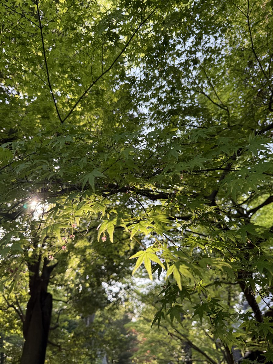 道山れいん tweet media