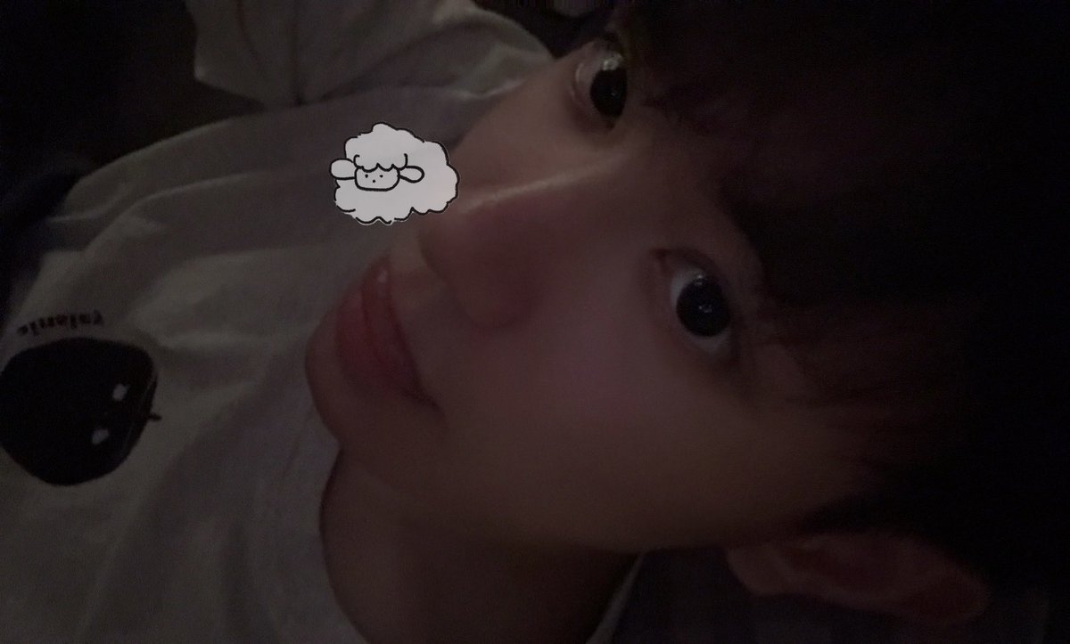 跑路小羊 tweet media