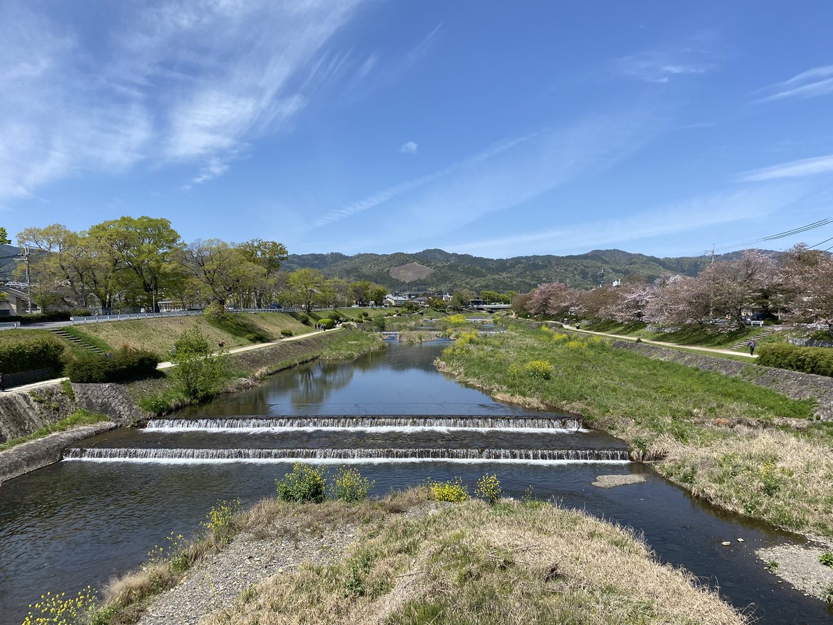 kamokamokai's tweet image. 今日の賀茂川。
2026年4月12日
#Kyoto #kyokamo #鴨川 #京都