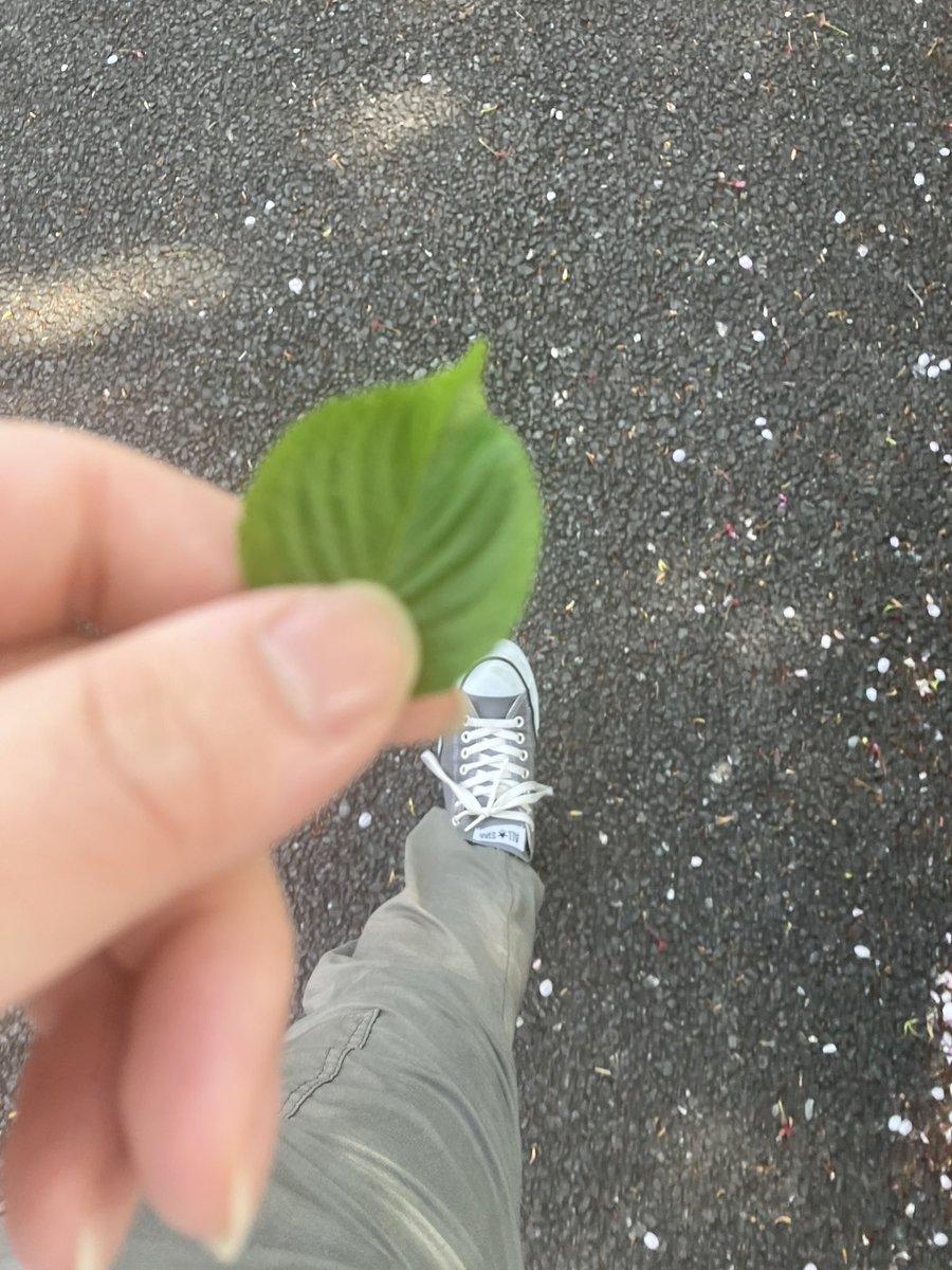 クリス吾郎 tweet media