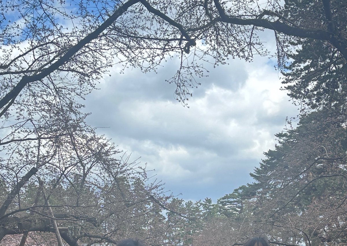 浮雲🎗️ tweet media