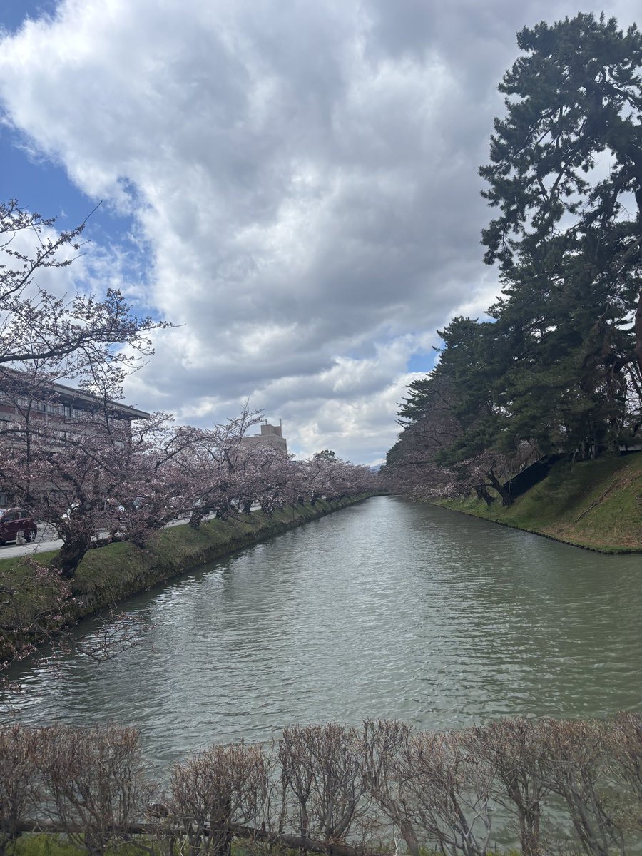 浮雲🎗️ tweet media