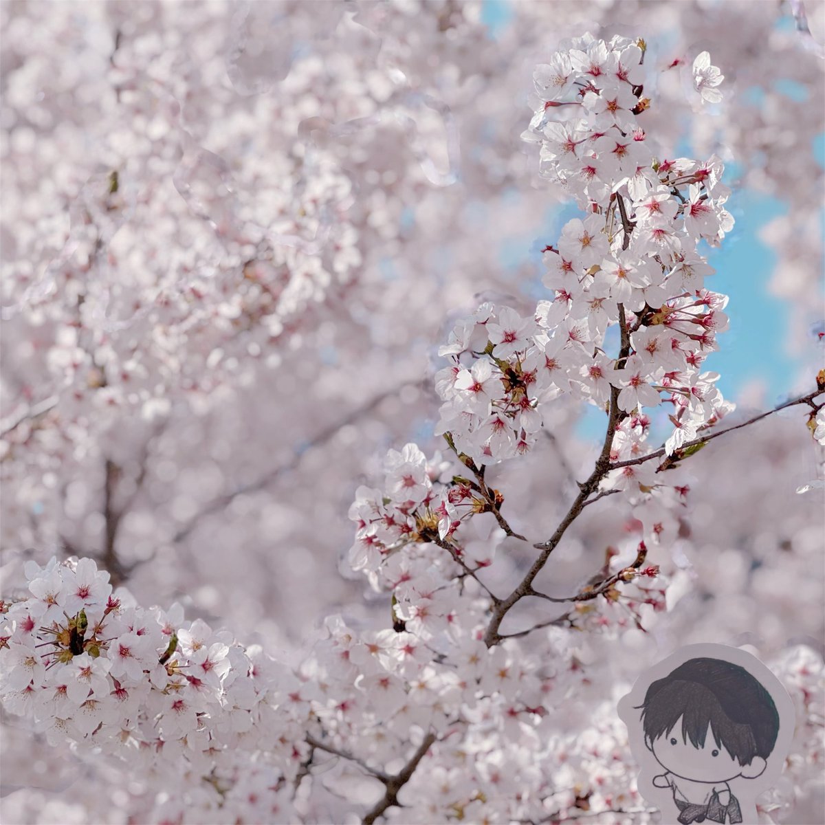 김작두🪓 tweet media