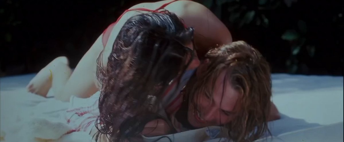 viarest☆ tweet media