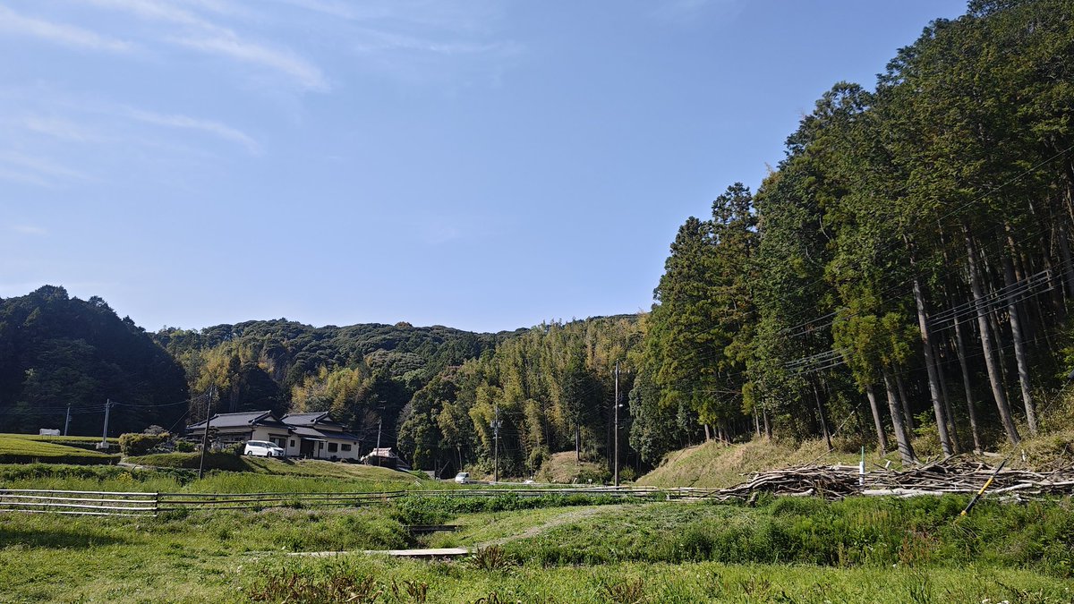 ぼんくら tweet media