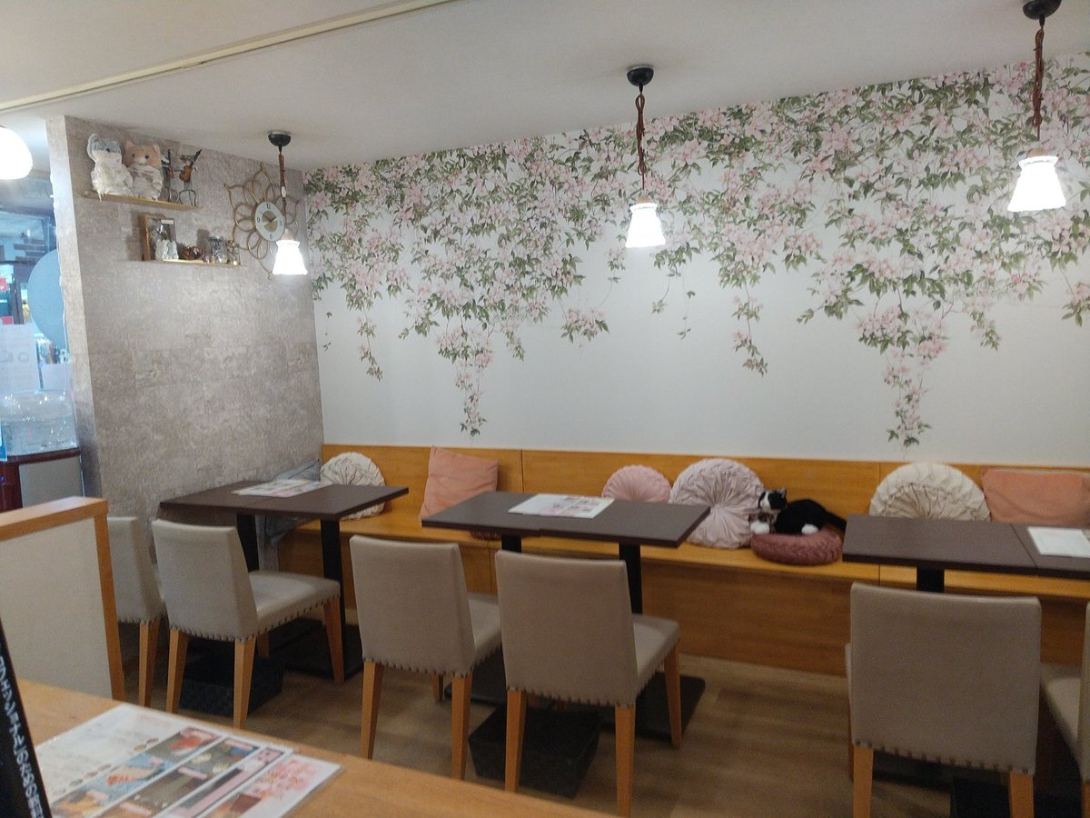 CHEESE CAFE soan @奈良もちいどのセンター街 tweet media