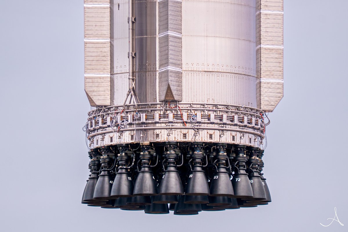 Amy Doehring tweet media