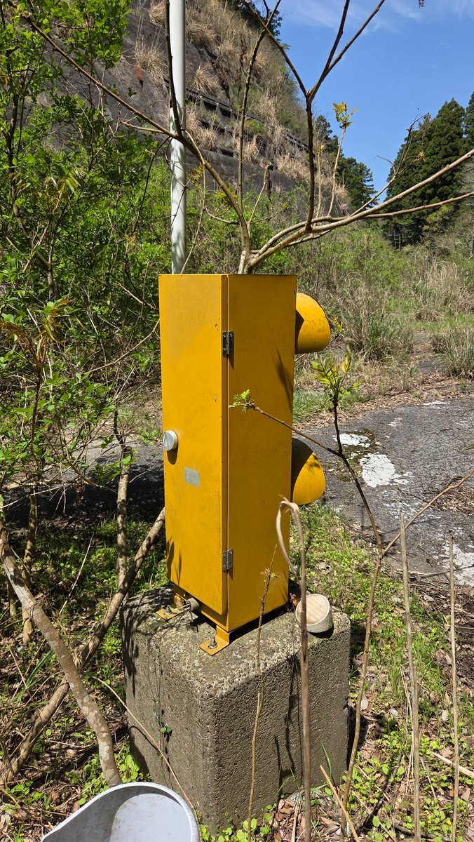 廃道にブリンカーライト放置されてるの初めて見た。