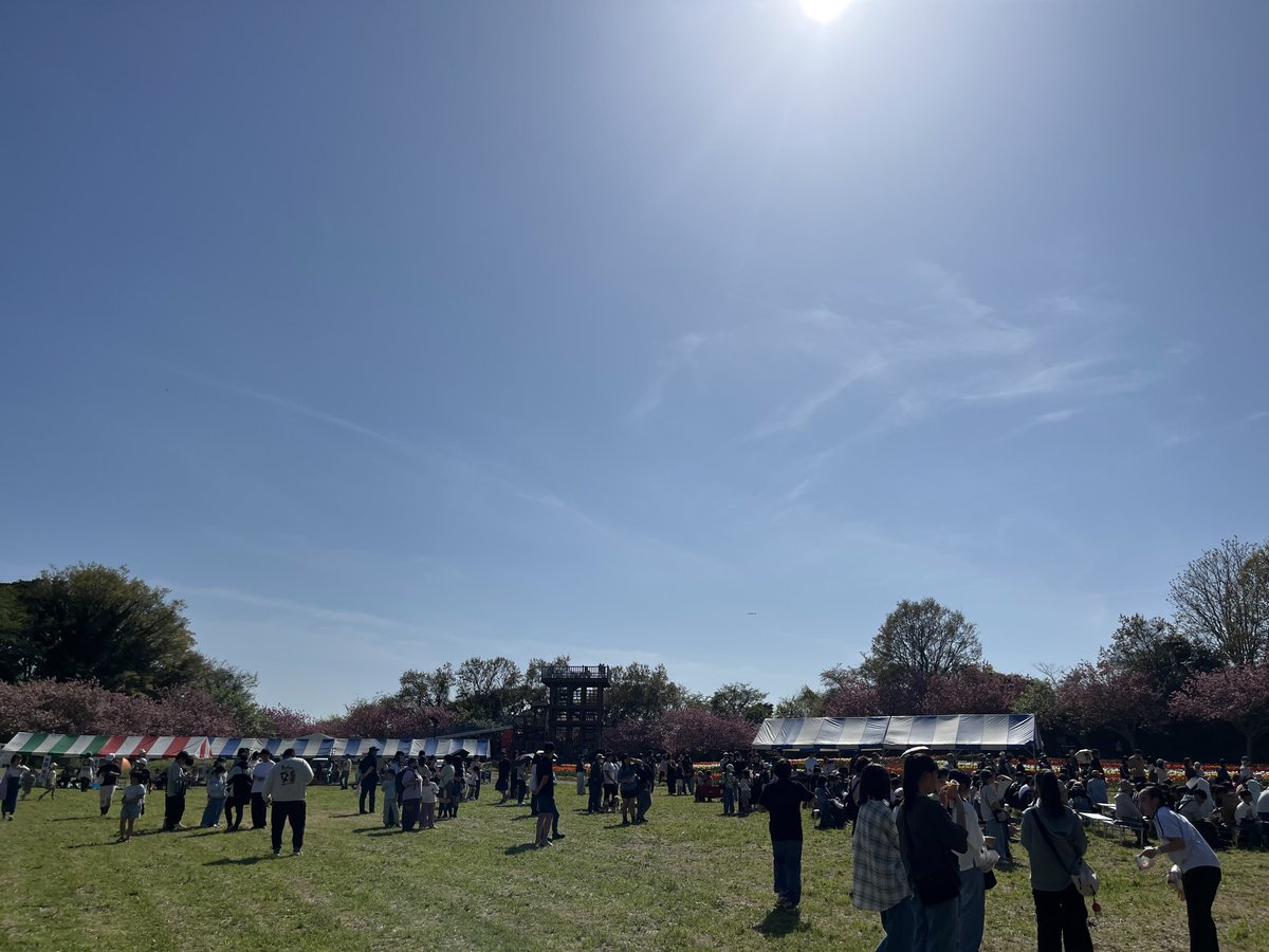 ツッチー (UN) tweet media