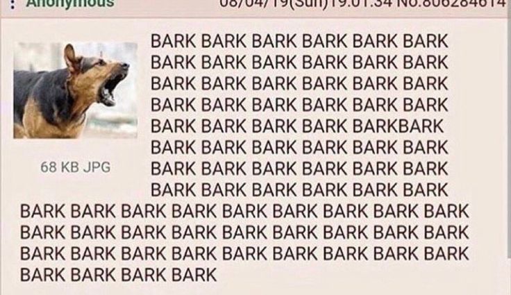 caninepoetry tweet media