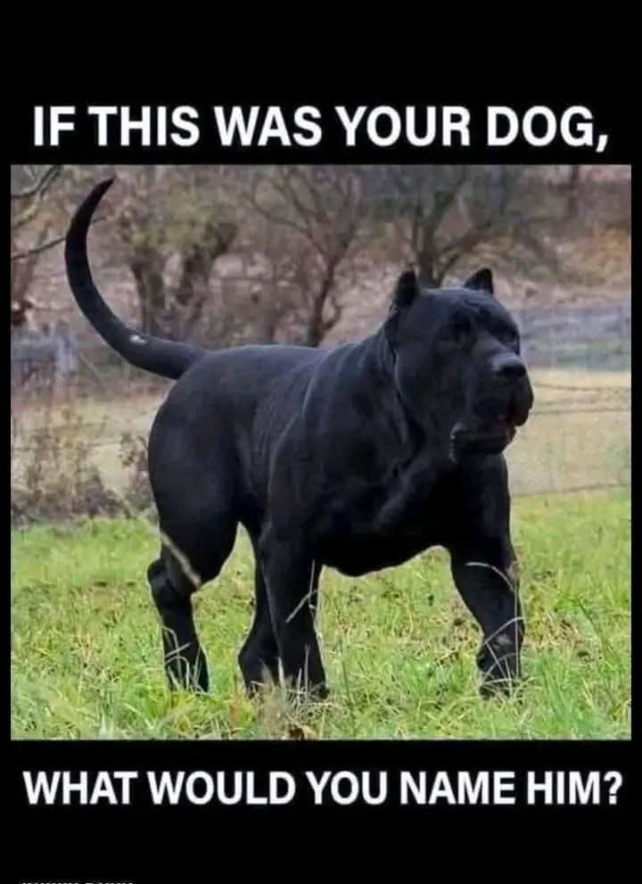 Sara Mary ⭐❤️ tweet media