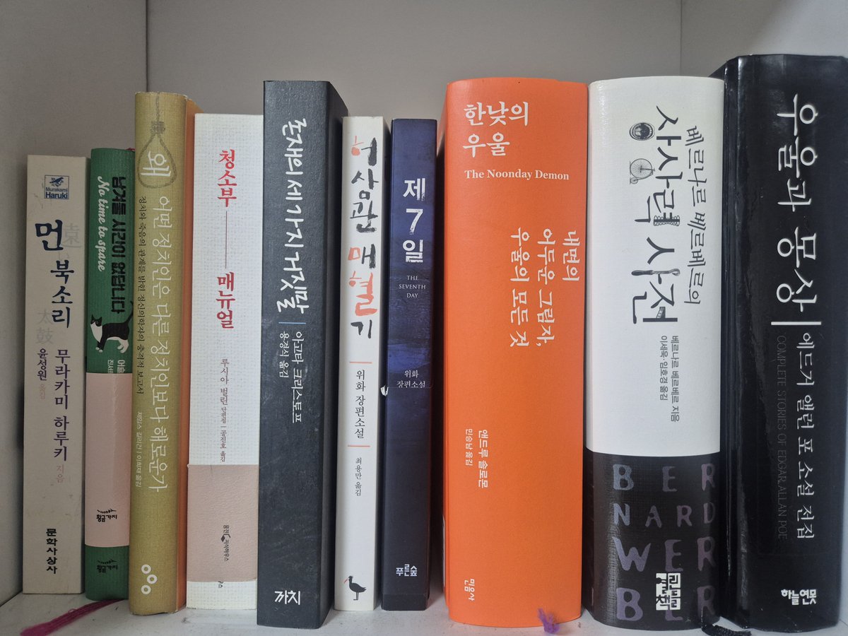 물까치 tweet media